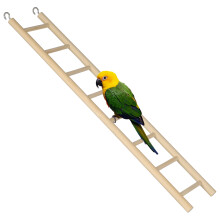 5Pièces D'échelle En Bois Résistant Pour Oiseaux Cage Khaki