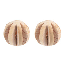 2Pièces À Ronger Bois Pour Hamsters Amusants
