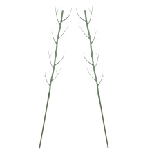 2St Plantklimrek PP Groen Met Takdesign Voor En