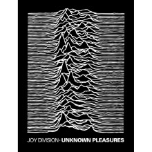 (Double, Multicoloured) Joy Division Unknown Pleasures Sherpa Fleece Blanket