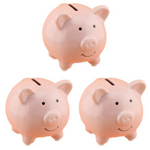 6Pièces Rose Céramique Coffret Économies Pour Enfants