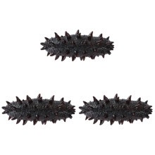 3Pièces Ornements Décoratifs De Mer PVC Couleur Marron