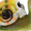 Compact Resin Slak Ornament Kleine Slak Decor Multi 6
