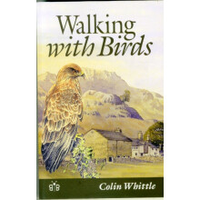 Walking with Birds by Colin Whittle Paperback Book