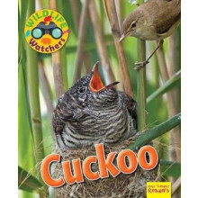 Wildlife Watchers Cuckoo by Ruth Owen Paperback Book