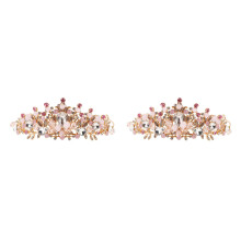 2St Gouden Roze Kids Crown Haarband Elegant Kinderfeest Accessoire