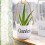 1St Wit Rustiek Vintage Sukkulent Voor 3