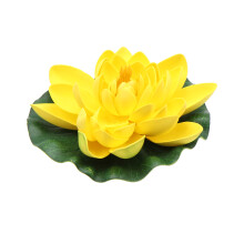 1St Gele Lotus Eva Perfect Voor Vijver En Tuinversiering