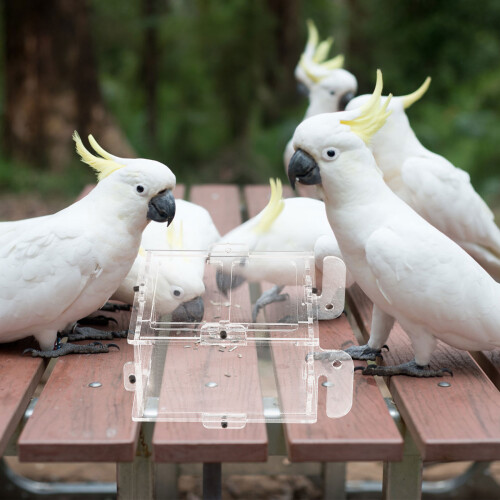 Transparante Vogelvoeder Voedertoevoeger Met Opslag 2
