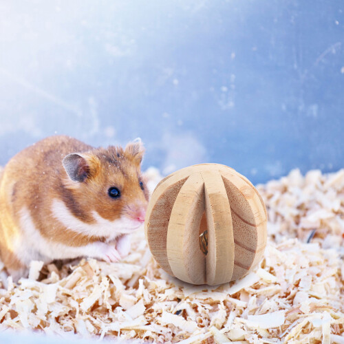 2Pièces À Ronger Bois Pour Hamsters Amusants 2