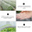 Pe Tuinscherm Anti Insectennet Vogelwering 6