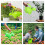 4Pièces Arrosoirs Plastique Petits Cartoon 5