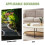 Compact Resin Slak Ornament Kleine Slak Decor Multi 5
