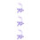 30Pièces Boîtes Conservatrices Violet Dents De Lait Bébé 7