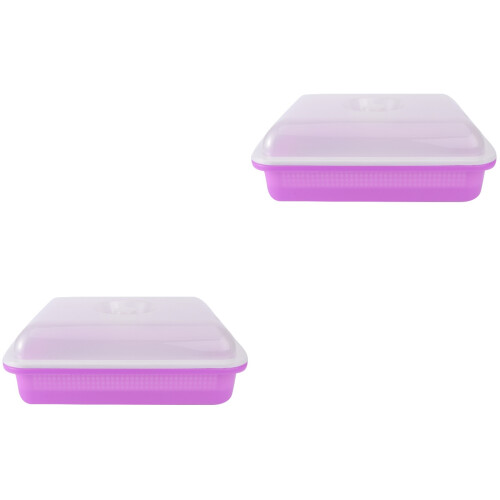 2Pièces Plateau Germination Violet En PP Pour Semis Rapide Durable 2