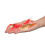 2Ensembles Crayfish Jouets Simulation Cycle De Vie Rouge Pédagogique 1