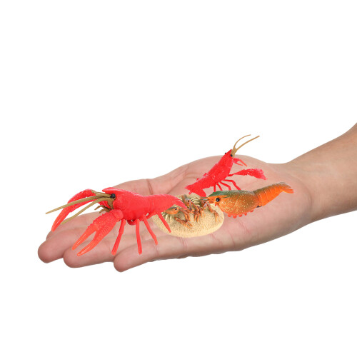 2Ensembles Crayfish Jouets Simulation Cycle De Vie Rouge Pédagogique