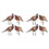 4Ensembles Faisan En Coloré Ornamental Durable 1