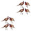 4Ensembles Faisan En Coloré Ornamental Durable 2