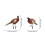 4Ensembles Faisan En Coloré Ornamental Durable 7