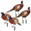 4Ensembles Faisan En Coloré Ornamental Durable 10