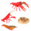 2Ensembles Crayfish Jouets Simulation Cycle De Vie Rouge Pédagogique 2