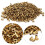 2000 Pz Rame Apicoltura Occhielli per Caps Frames Bee Hive Apparecchiature di Rame 2