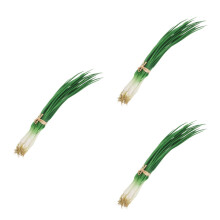 3Pièces Accessoires Faux Oignons Vert Réalistes Prop Décor Cuisine