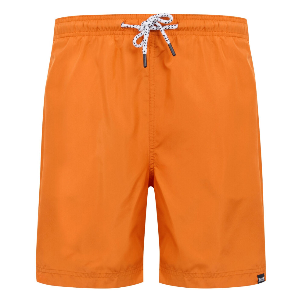 Regatta (L, Fox) Mens Mackleyna Swim Shorts Multicoloured