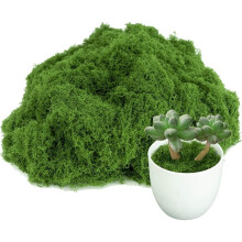 Fake Moss for Plants Indoor, for Potted Fairy Garden DIY Model Making Walls Glass Containers Home Decor-3.5 OZ
