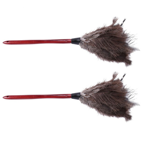 2X Struzzo Spolverino per La Pulizia Spolverino per Lo Struzzo Spolverino per Lo Struzzo Spolverino