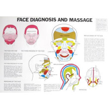 Face Diagnosis and Massage by Jan Van Baarle Paperback Book