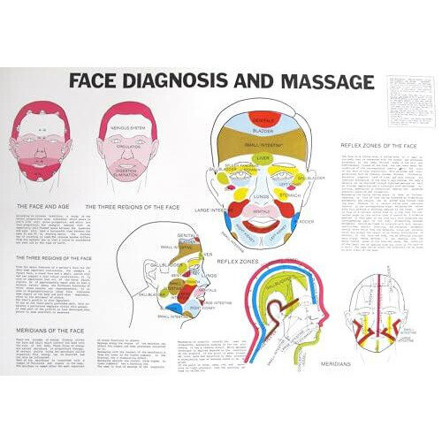 Face Diagnosis and Massage by Jan Van Baarle Paperback Book
