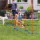 Hunde-Agility-Trainingsset mit Slalomstangen, Orange 2