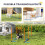 Hunde-Agility-Trainingsset mit Slalomstangen, Orange 4