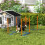 Hunde-Agility-Trainingsset mit Slalomstangen, Orange 8