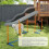 Hunde-Agility-Trainingsset mit Slalomstangen, Orange 7