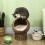 Grotte pour chat en rotin marron café avec coussin, 51 cm 6