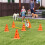 Kit de Treinamento de Agilidade para Cães com Cones e Obstáculos 2