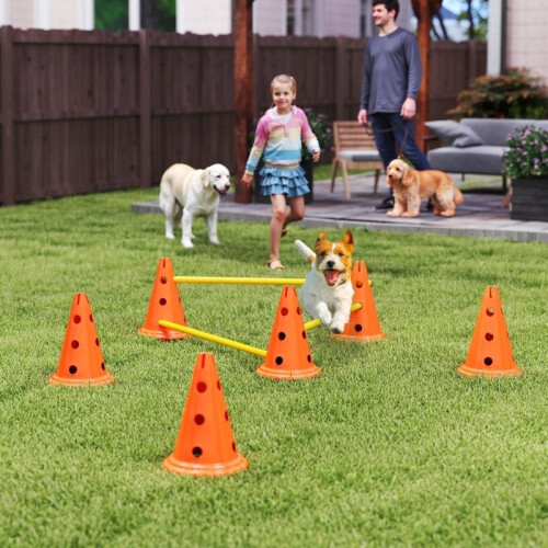 Kit de Treinamento de Agilidade para Cães com Cones e Obstáculos 1