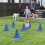 Kit de adestramento canino com cones e obstáculos para agilidade. 2