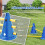 Kit de adestramento canino com cones e obstáculos para agilidade. 5