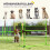 Höhenverstellbares Hunde-Agility-Set mit Hürden, Grün 4