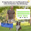 Höhenverstellbares Hunde-Agility-Set mit Hürden, Grün 6