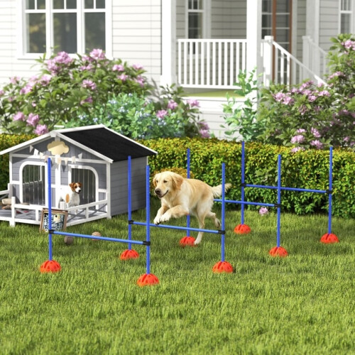 Tragbares Hundesprung-Trainingsset mit vier Hürden, Blau 1