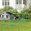 Hunde-Agility-Trainingsset mit vier Hürden, Hellblau 2