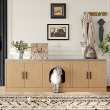 Verborgen kattenbakkast met krabpaal