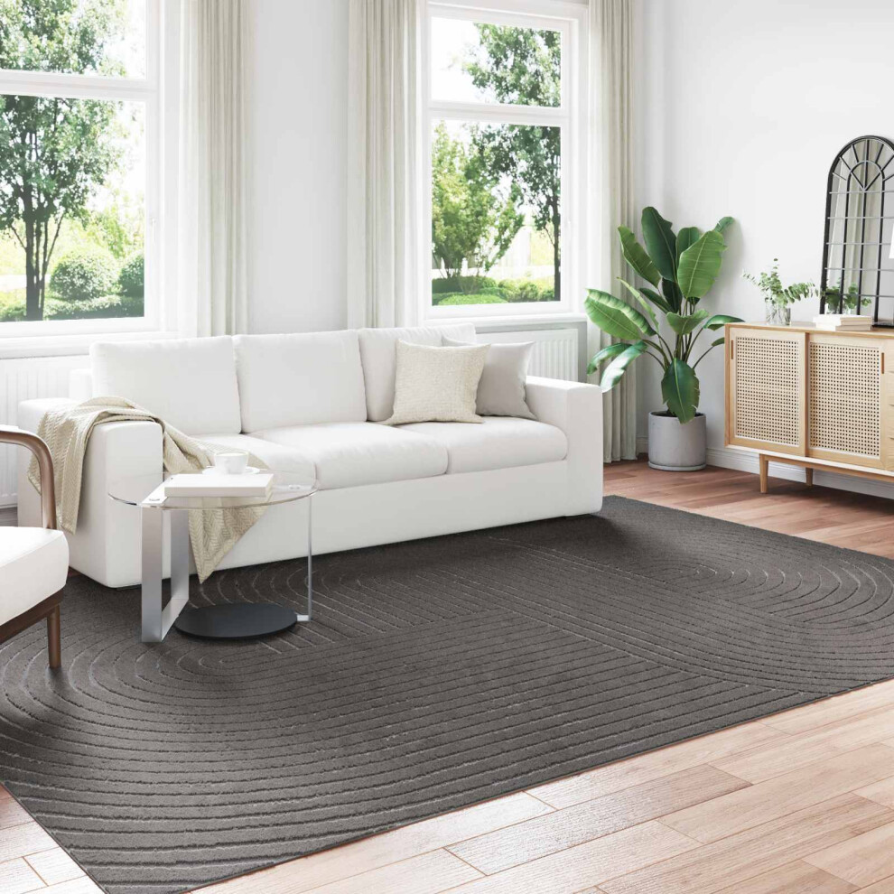 Vidaxl Area Rugs Rectangular Palmeras Anthracite 340 X 240 Cm