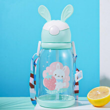 Olkijuomapullo muovia kannettava 500ml