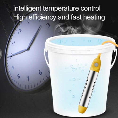 Chauffe-piscine en acier inoxydable 2500 W 2